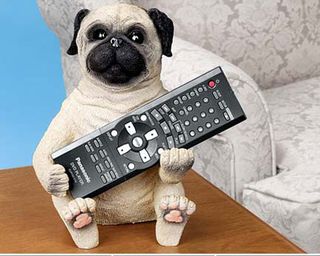 Remote-control-holder